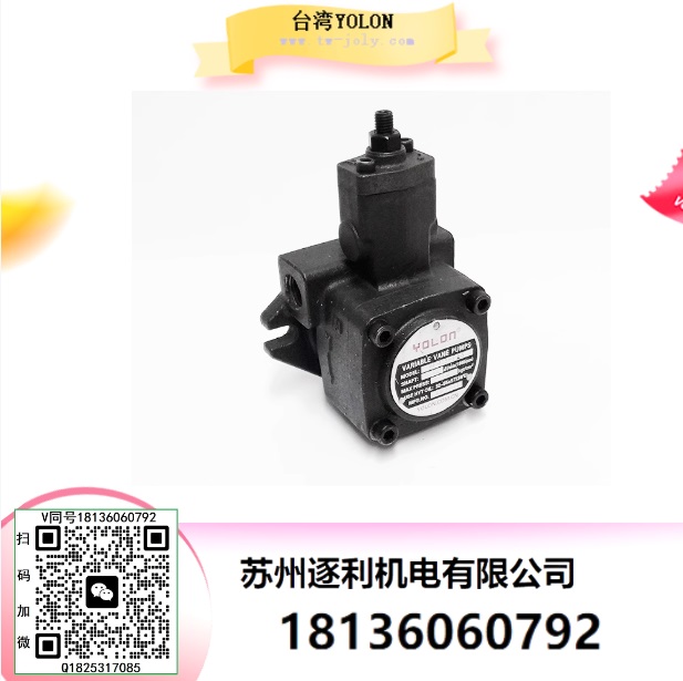 YOLON变量叶片齿轮高压双联油泵配件大全电机床小型VP1520